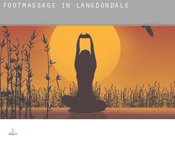 Foot massage in  Langdondale